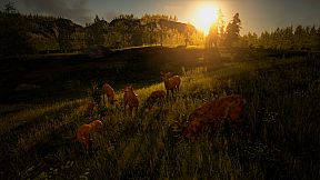 Glory or Dominance - The World Of Kleiverog