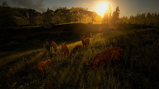 Glory or Dominance - The World Of Kleiverog