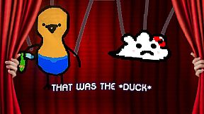 Chinchillas Attack Again