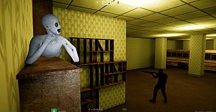 Hollow Hide