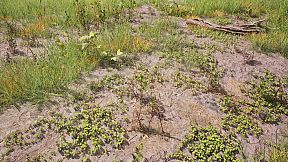 HIKE: Beyond the Trails