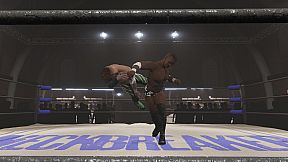 Neckbreaker: Visceral Pro Wrestling