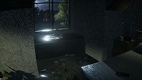 Entity: Midnight’s Watcher