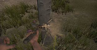 Missing Plane: Survival