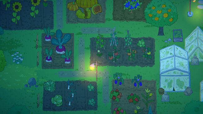 Little Adventurer Treasure Hunt