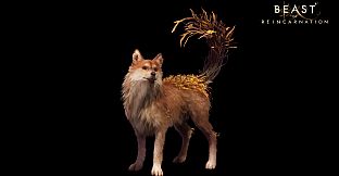 Beast of Reincarnation