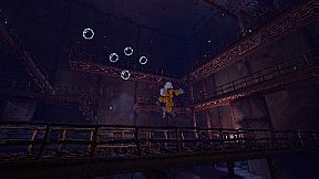 The Sirena Expedition