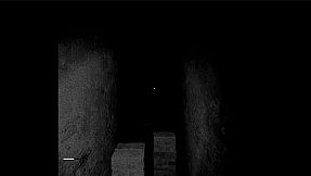 Witness of the Night