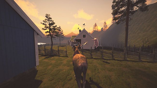 Let it Moose