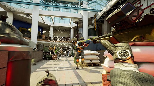 Rogue Point - Supporter Edition