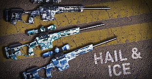 Sniper Ghost Warrior Contracts 2 - Hail & Ice Skin Pack