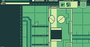 Spotted Garden Eel Adventure