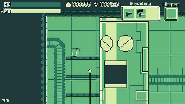 Spotted Garden Eel Adventure