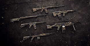 Insurgency: Sandstorm - Endurance Weapon Skin Set