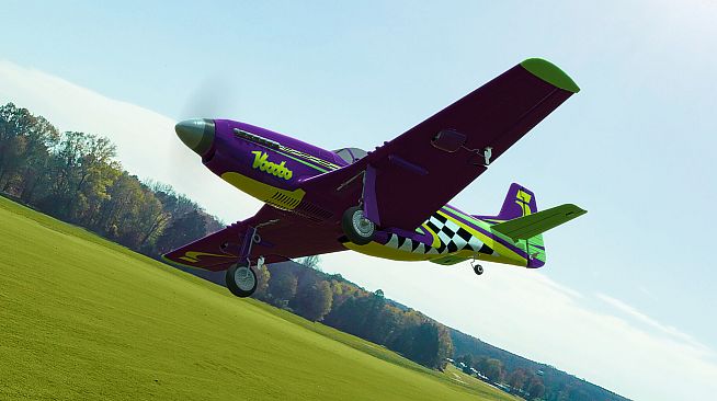 RealFlight Evolution - 2023 Year Content Pass