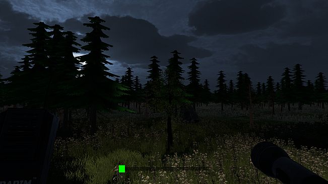 Echo's of the Dark Part 2 Escaping From Asylum