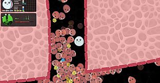 Leukocyte