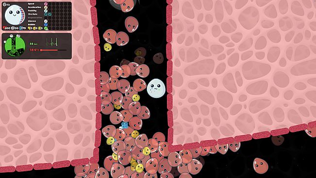 Leukocyte