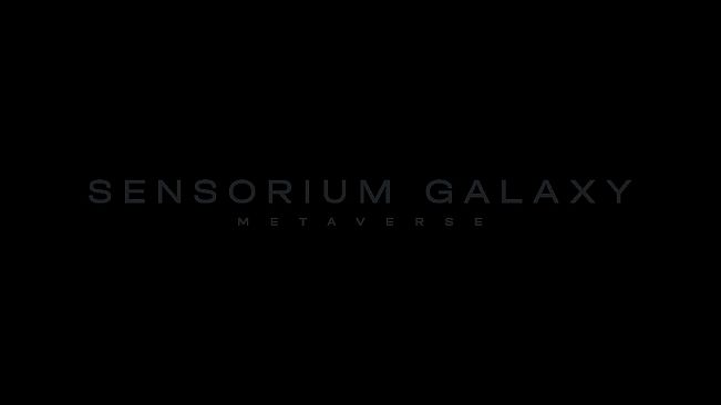 Sensorium Galaxy Playtest