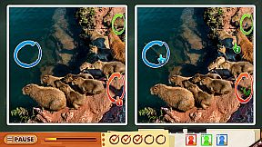 Spot The Differences! Party