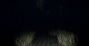 The Lost Within