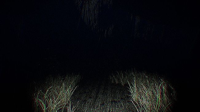 The Lost Within