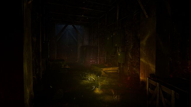 Robotization: The Last Human