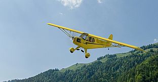 RealFlight Evolution – Hangar 9 J-3 Cub 10cc