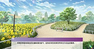 Wayfarer Of Hydrangea