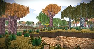 Build From Block