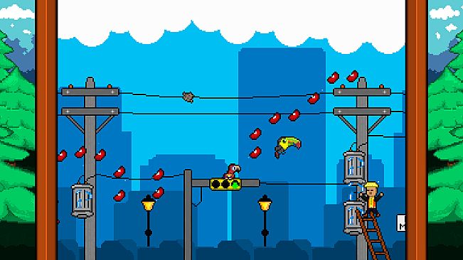 Mawkey The Last Macaw