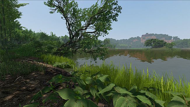 Fisher Online - China DLC