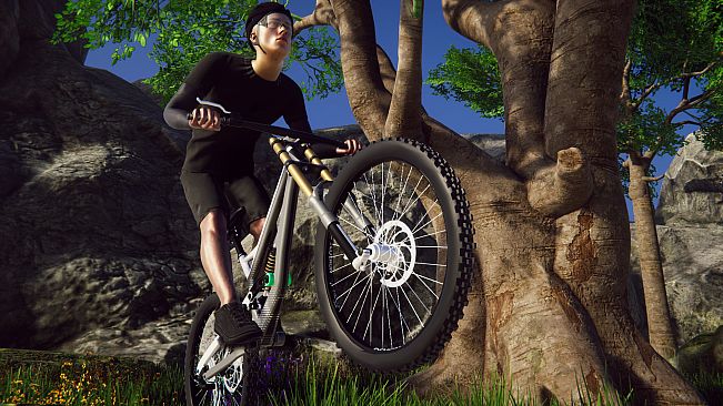 Bicycle Rider Simulator