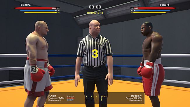Heavyweight Bout