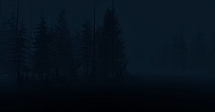 Stray Light