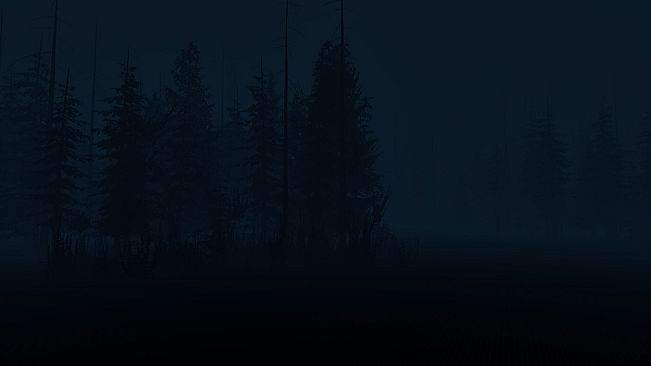 Stray Light