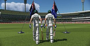 Cricket 22