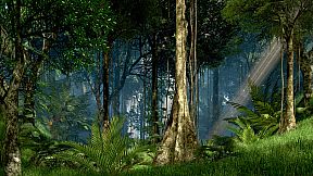 Guided Meditation VR