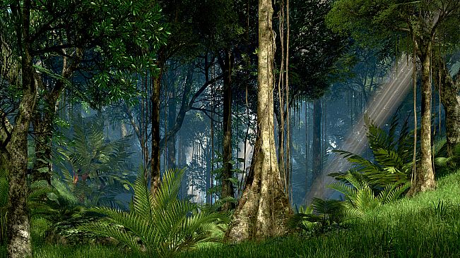 Guided Meditation VR