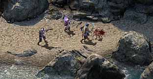 Pillars of Eternity - Deadfire Pack