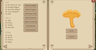 The Mushroom Journal