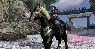 SW4-II - Horse Set