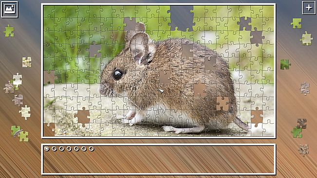 Super Jigsaw Puzzle: Generations - Rodents