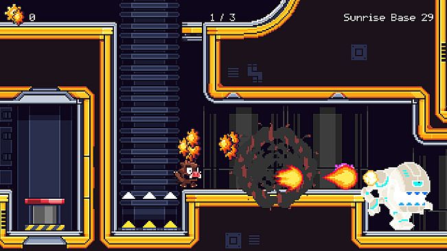 Guts 'n Grunts + Jr.