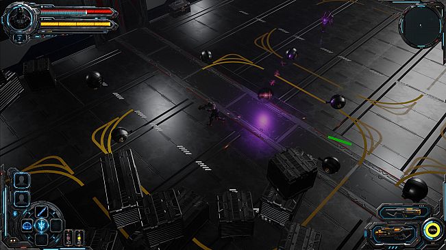 Cycle of Echoes