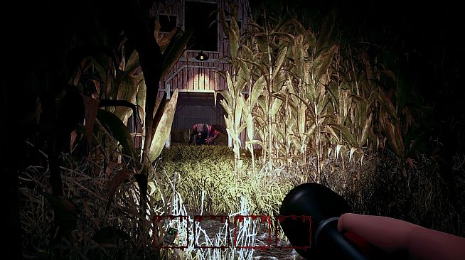 Hog Hunt