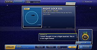 Angler 2003