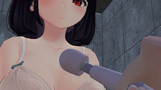 VR SecretRoom
