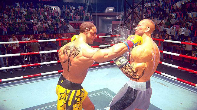 Casual Sport Series: Boxing