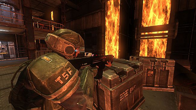 Natural Selection 2 - Skull 'n' Crossfire Rifle